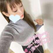 ヒメ日記 2026/02/09 07:06 投稿 しおんちゃん ZERO-i