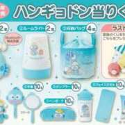 ヒメ日記 2026/02/21 08:56 投稿 しおんちゃん ZERO-i