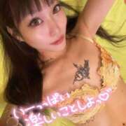 ヒメ日記 2026/02/27 10:56 投稿 しおんちゃん ZERO-i