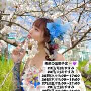 ヒメ日記 2026/03/18 11:46 投稿 しおんちゃん ZERO-i