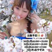 ヒメ日記 2026/03/25 12:46 投稿 しおんちゃん ZERO-i