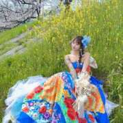 ヒメ日記 2026/03/29 07:46 投稿 しおんちゃん ZERO-i