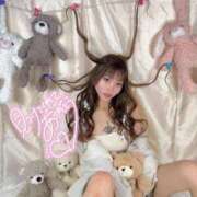 ヒメ日記 2026/03/29 14:46 投稿 しおんちゃん ZERO-i