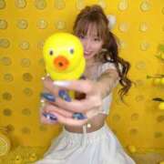 ヒメ日記 2026/04/03 07:26 投稿 しおんちゃん ZERO-i