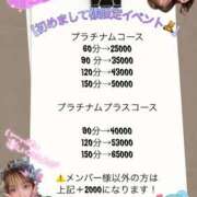 ヒメ日記 2026/04/03 11:36 投稿 しおんちゃん ZERO-i