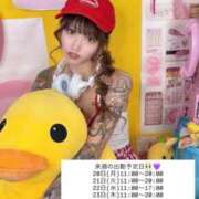 ヒメ日記 2026/04/16 17:16 投稿 しおんちゃん ZERO-i