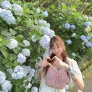 ヒメ日記 2026/04/28 10:11 投稿 しおんちゃん ZERO-i