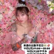 ヒメ日記 2026/05/07 10:56 投稿 しおんちゃん ZERO-i