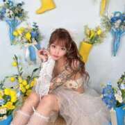 ヒメ日記 2026/05/25 07:46 投稿 しおんちゃん ZERO-i