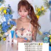 ヒメ日記 2026/06/12 17:16 投稿 しおんちゃん ZERO-i