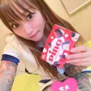 ヒメ日記 2026/06/19 17:06 投稿 しおんちゃん ZERO-i