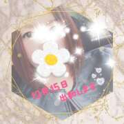 ヒメ日記 2024/12/13 14:49 投稿 そら 成田人妻講座