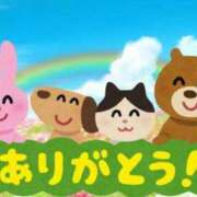 ヒメ日記 2024/09/18 16:51 投稿 とわ 熟女の風俗最終章 相模原店