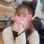 ヒメ日記 2024/12/15 13:23 投稿 白百合◆【GOLD+】 PLUMERIA（プルメリア）