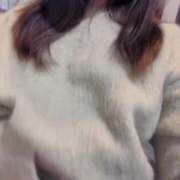 ヒメ日記 2024/12/12 22:46 投稿 もも 隙のあるエステ