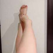 ヒメ日記 2025/03/31 14:56 投稿 れい ぷるるん小町 京橋店