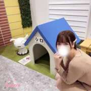 ヒメ日記 2025/10/17 20:40 投稿 こはる チューリップ姫路店