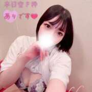 ヒメ日記 2025/10/26 09:00 投稿 こはる チューリップ姫路店