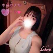 ヒメ日記 2025/10/27 08:11 投稿 こはる チューリップ姫路店