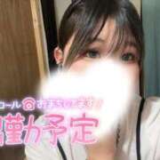 ヒメ日記 2025/08/21 23:29 投稿 あお 鶯谷スピン