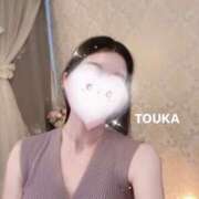 ヒメ日記 2025/04/15 17:46 投稿 西門 とうか CELEB SPA PREMIUM