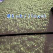 ヒメ日記 2025/03/30 22:48 投稿 榎本(えのもと)奥様【VIP】 金沢の20代30代40代50代が集う人妻倶楽部