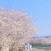 ヒメ日記 2025/04/07 17:04 投稿 榎本(えのもと)奥様【VIP】 金沢の20代30代40代50代が集う人妻倶楽部