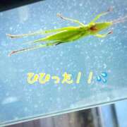 ヒメ日記 2025/09/27 13:06 投稿 榎本(えのもと)奥様【VIP】 金沢の20代30代40代50代が集う人妻倶楽部