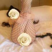 ヒメ日記 2026/02/18 08:18 投稿 榎本(えのもと)奥様【VIP】 金沢の20代30代40代50代が集う人妻倶楽部