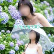 ヒメ日記 2026/06/15 08:12 投稿 榎本(えのもと)奥様【VIP】 金沢の20代30代40代50代が集う人妻倶楽部