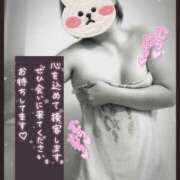 ヒメ日記 2024/12/18 08:15 投稿 しの 素人妻御奉仕倶楽部Hip's取手店