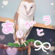 ヒメ日記 2025/05/23 11:35 投稿 しの 素人妻御奉仕倶楽部Hip's取手店