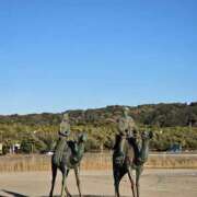 ヒメ日記 2025/01/15 07:30 投稿 りおな 東京人妻セレブリティ（ユメオト）