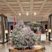 ヒメ日記 2025/02/05 12:20 投稿 りおな 東京人妻セレブリティ（ユメオト）