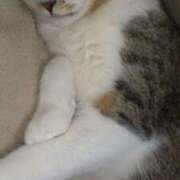 ヒメ日記 2025/02/08 15:01 投稿 りおな 東京人妻セレブリティ（ユメオト）