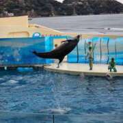 ヒメ日記 2025/04/04 14:34 投稿 りおな 東京人妻セレブリティ（ユメオト）