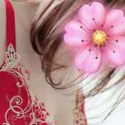 ヒメ日記 2025/06/19 07:30 投稿 りおな 東京人妻セレブリティ（ユメオト）