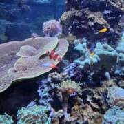 ヒメ日記 2025/06/28 14:23 投稿 りおな 東京人妻セレブリティ（ユメオト）