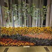 ヒメ日記 2025/08/17 23:09 投稿 りおな 東京人妻セレブリティ（ユメオト）