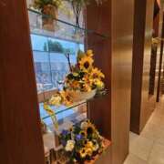 ヒメ日記 2025/08/19 20:04 投稿 りおな 東京人妻セレブリティ（ユメオト）