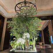 ヒメ日記 2025/08/22 14:55 投稿 りおな 東京人妻セレブリティ（ユメオト）