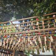 ヒメ日記 2025/09/16 07:00 投稿 りおな 東京人妻セレブリティ（ユメオト）