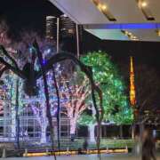 ヒメ日記 2025/10/05 13:54 投稿 りおな 東京人妻セレブリティ（ユメオト）