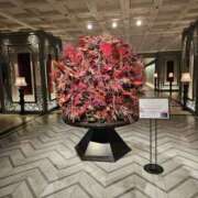 ヒメ日記 2025/10/12 12:52 投稿 りおな 東京人妻セレブリティ（ユメオト）