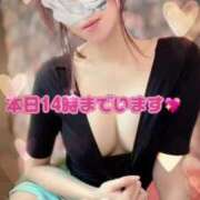 ヒメ日記 2025/01/22 09:20 投稿 さくら【「S」ディプロマ保持者】 天空のマット