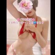 ヒメ日記 2025/03/27 11:51 投稿 さくら【「S」ディプロマ保持者】 天空のマット