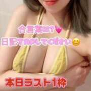 ヒメ日記 2025/04/15 10:02 投稿 さくら【「S」ディプロマ保持者】 天空のマット