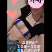 ヒメ日記 2025/11/15 09:21 投稿 さくら【「S」ディプロマ保持者】 天空のマット