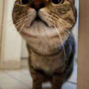 ヒメ日記 2025/08/03 20:15 投稿 ASAMI GINGIRA☆TOKYO～ギンギラ東京～