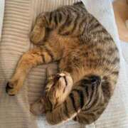 ヒメ日記 2025/10/25 01:34 投稿 ASAMI GINGIRA☆TOKYO～ギンギラ東京～